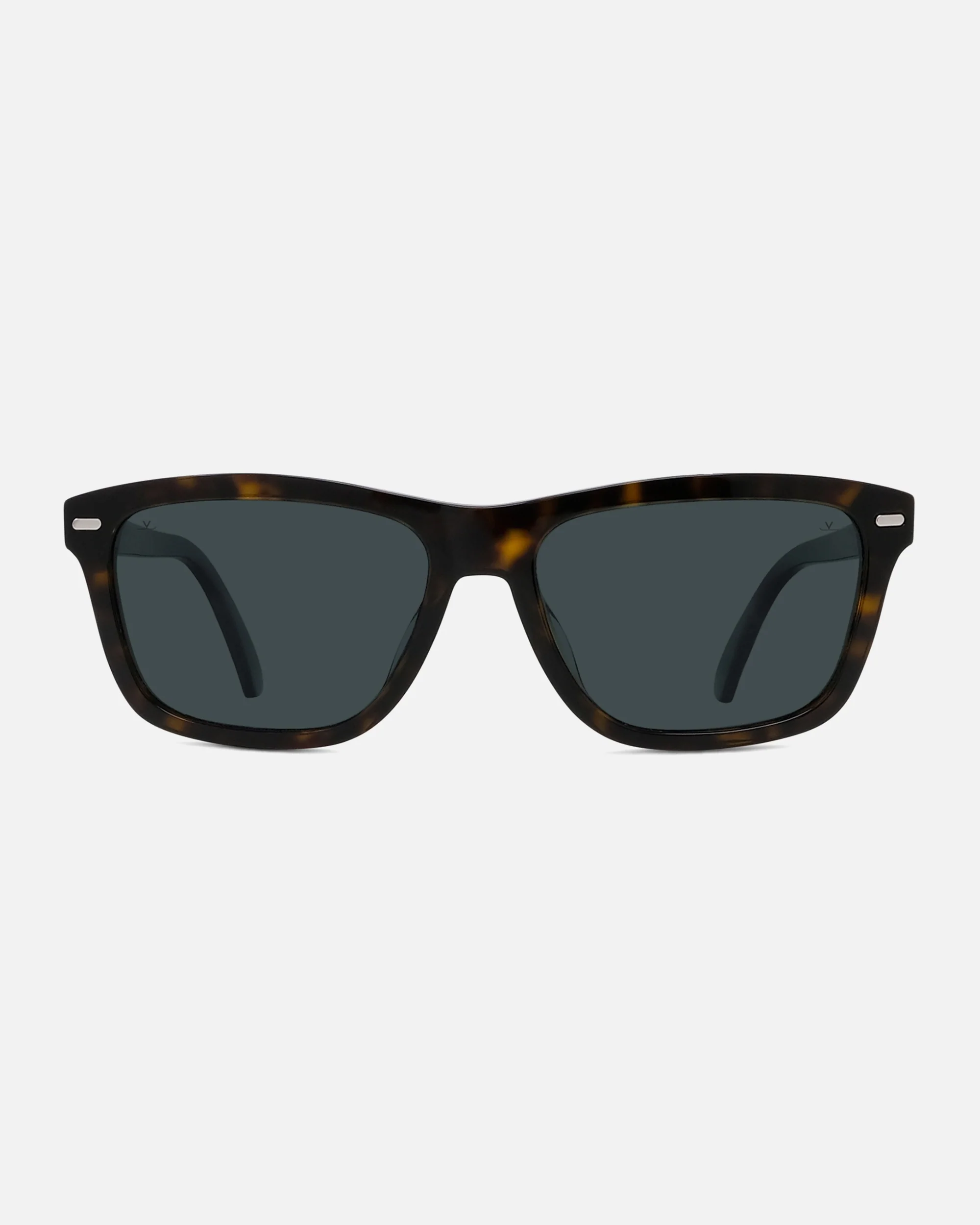Lunettes - Nouveautés